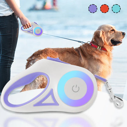 Bright-Paws Dog Leash